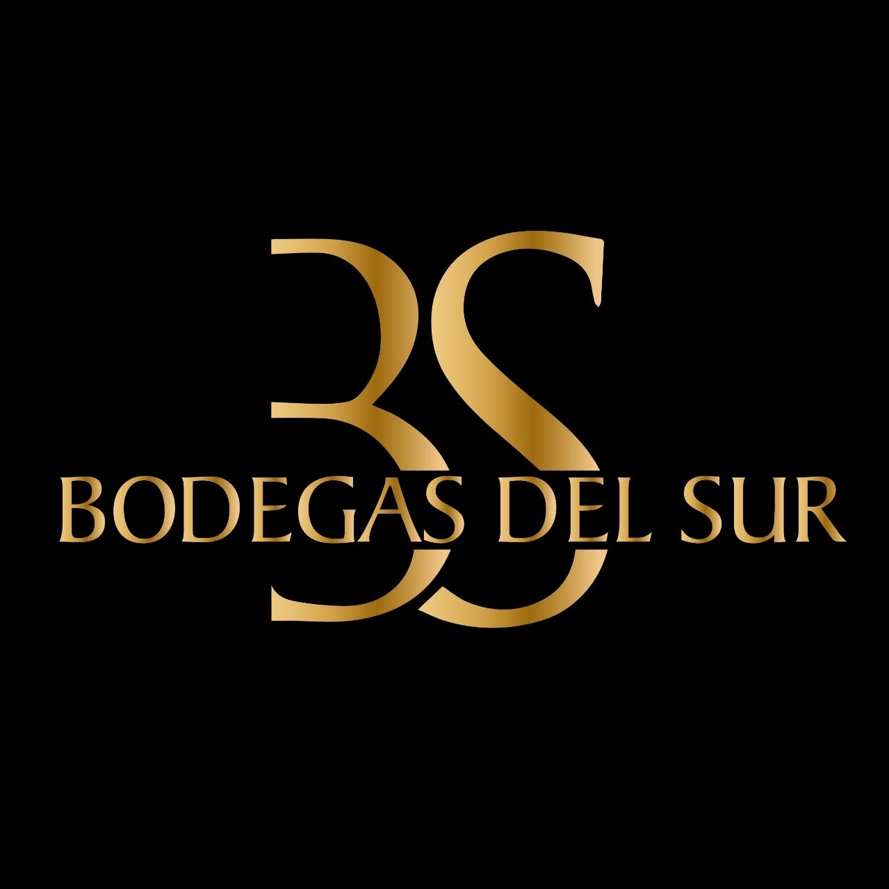 Bodegas Del Sur Logo