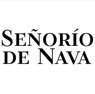 BODEGAS SEÑORIO DE NAVA SA Logo