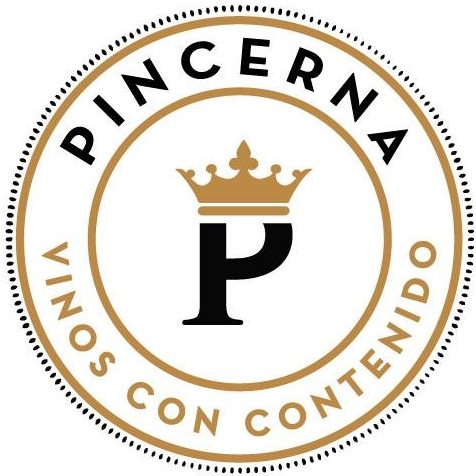 PINCERNA SOCIEDAD LIMITADA Logo