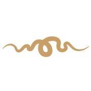 Montesanco Logo