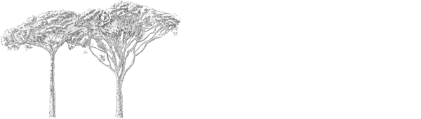 Quinta de Couselo, S.L. Logo