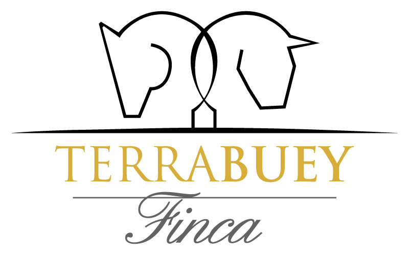 Terrabuey, S.L. Logo