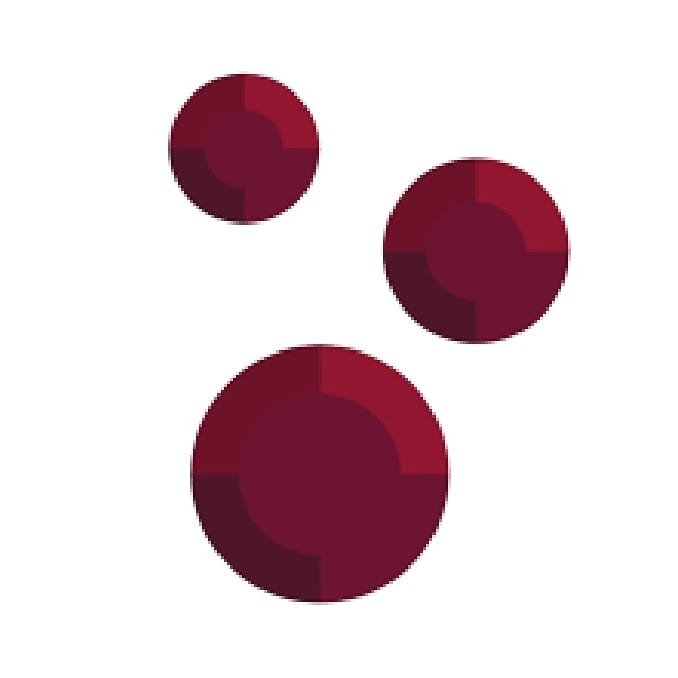 Vinos Caballer Sociedad Limitada logo