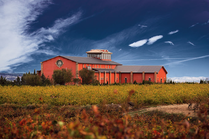 BODEGAS DOMECO DE JARAUTA SL imagen principal