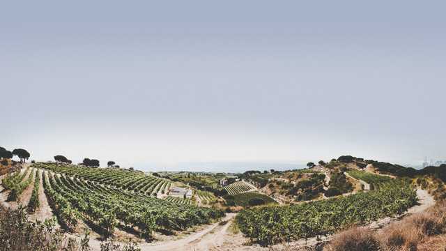 Alta Alella main image
