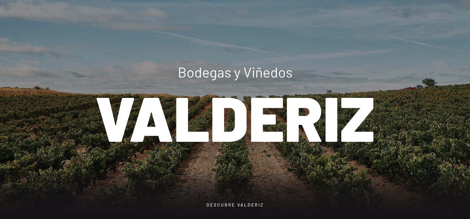 BODEGAS Y VIÑEDOS VALDERIZ SL main image