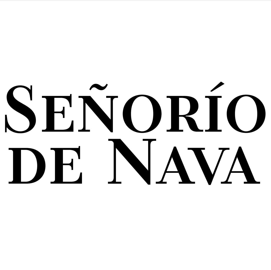 BODEGAS SEÑORIO DE NAVA SA Logo